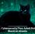 U.S. Cybersecurity Pros Admit Role in BlackCat Attacks